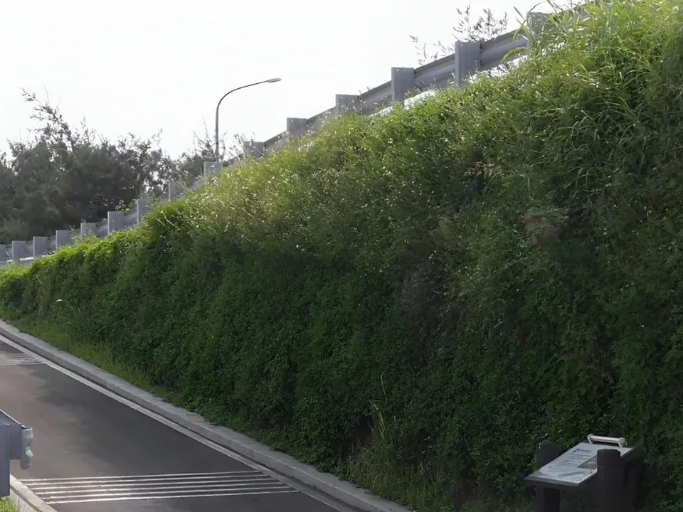 Lereng hijau di tepi jalan yang tertutup rumput dan tanaman